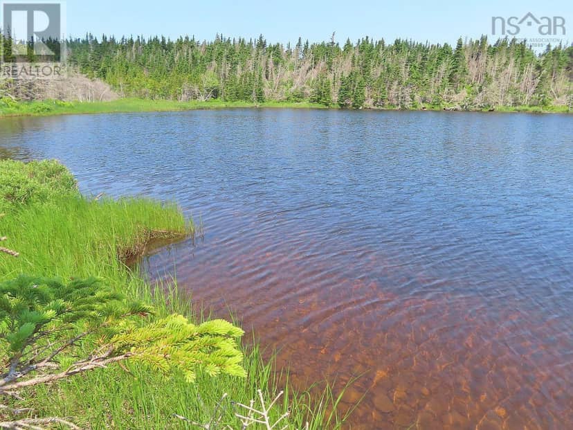 Lot 31 Belfry Lake Road, Gabarus Lake, photo 4
