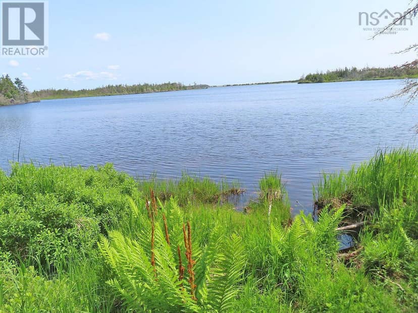 Lot 31 Belfry Lake Road, Gabarus Lake, photo 6