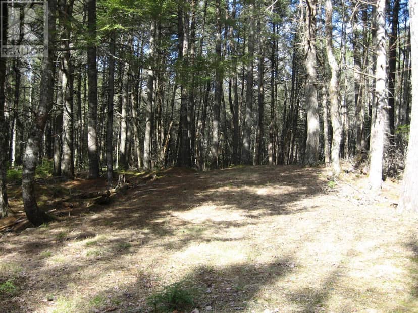 77 Bear Cove Road, Greenfield, photo 7