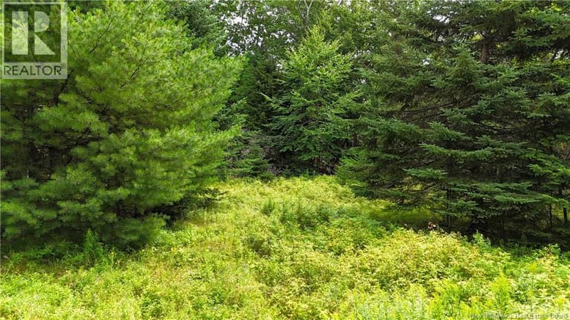 Lot 12-2 Hills Point Road, Oak Bay, photo 6