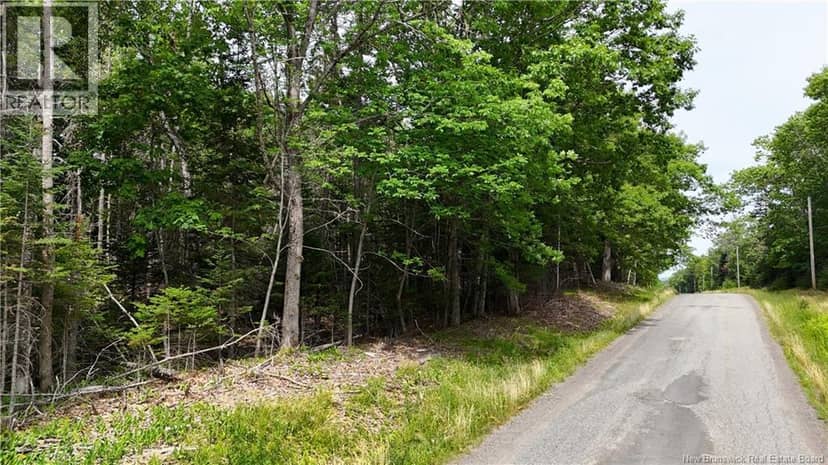Lot 12-2 Hills Point Road, Oak Bay, photo 8