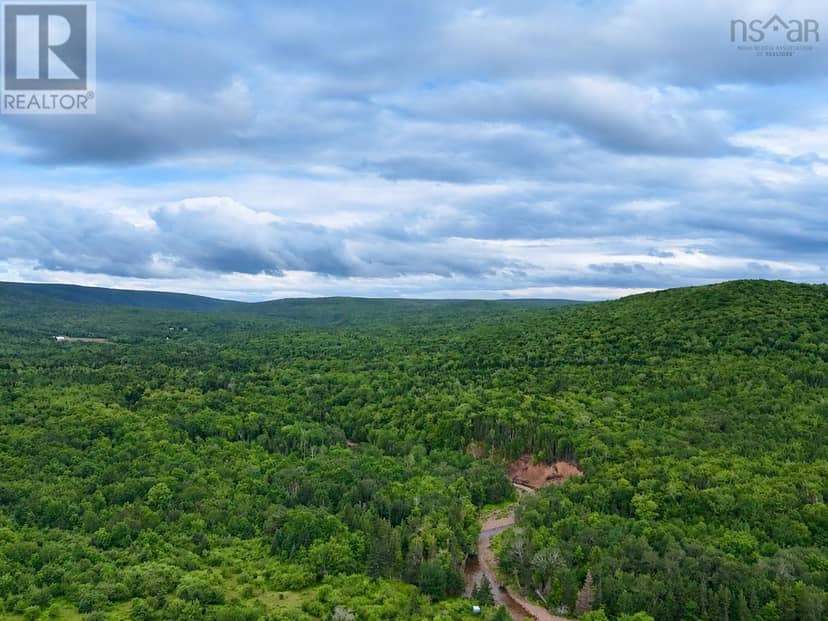 0 Mt.Pleasant Big Brook Rd. — photo 4 of 18