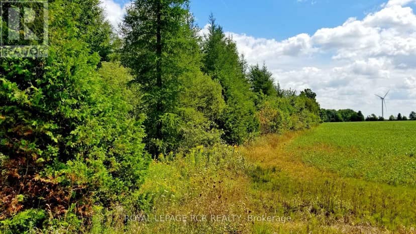Lot 31 9 County Road, Melancthon, photo 4
