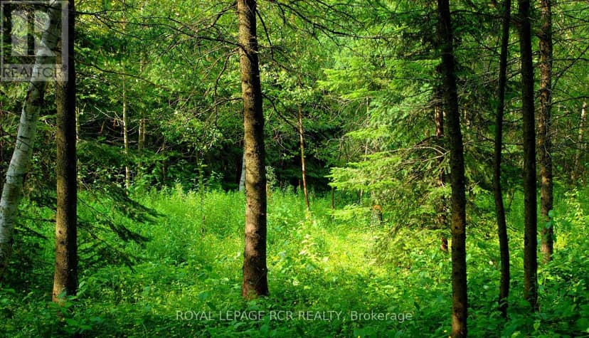 Lot 31 9 County Road, Melancthon, photo 6