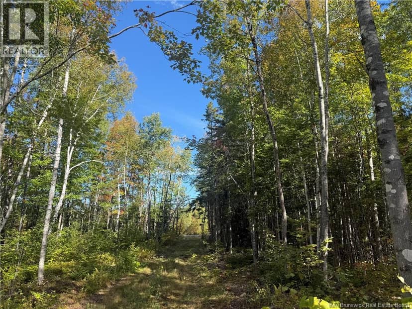 Lot Bettsburg Road, Bettsburg, photo 2