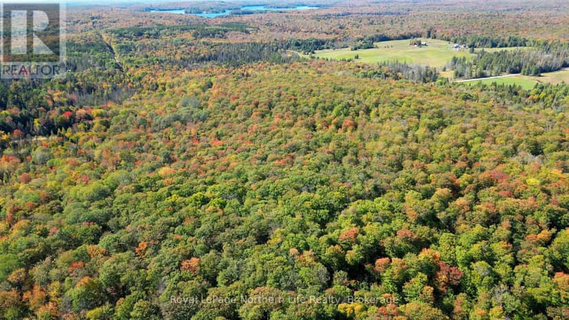Pt Lt 5 Con 14 South Horn Lake Road — photo 11 of 18