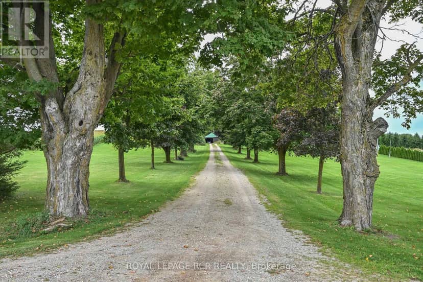 638394 Prince Of Wales Road, Mulmur, photo 4