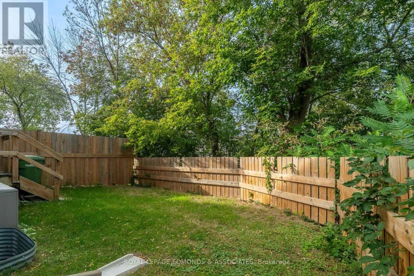 359 Nelson Street — photo 36 of 40