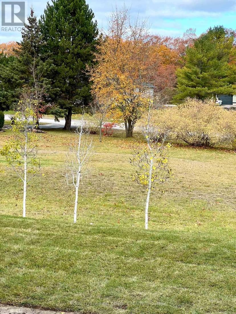 6 Misty Ridge Road — photo 19 of 19