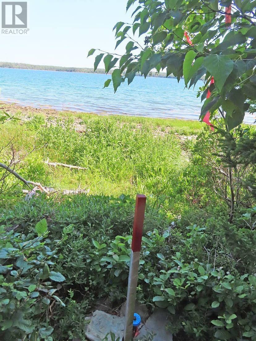 76 Acres Perry Lane — photo 27 of 40