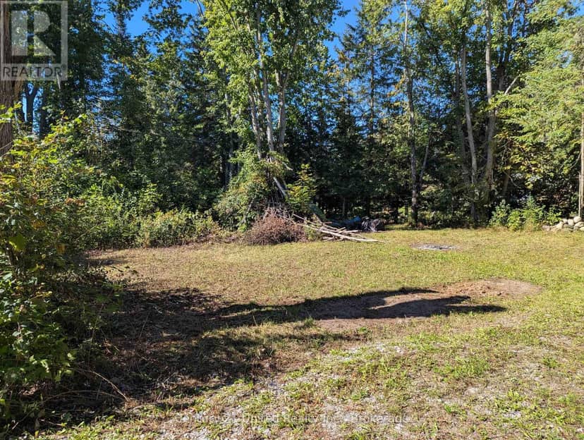 63 Fire Route 104, Kawartha Lakes, photo 4