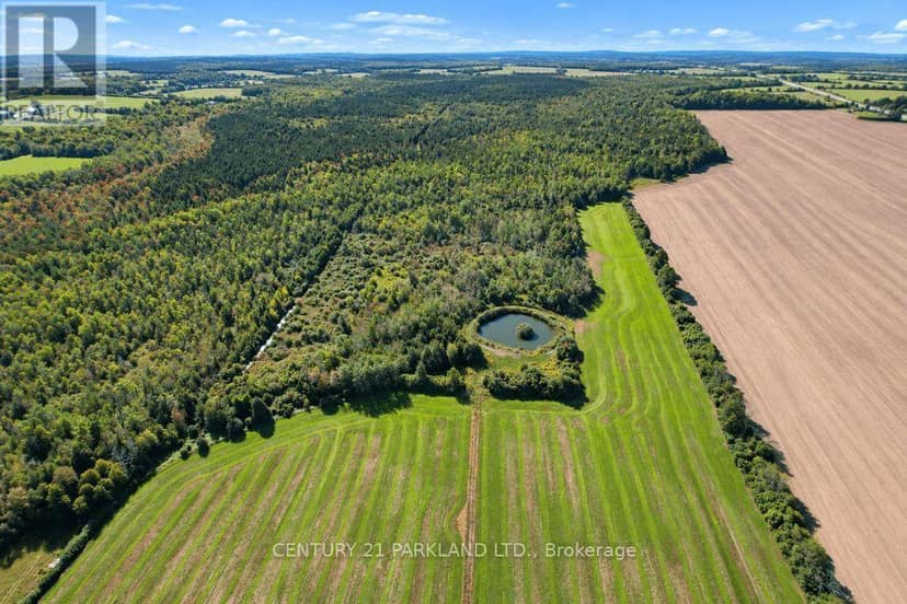 #10 - 1320 Concession Road E — photo 36 of 40