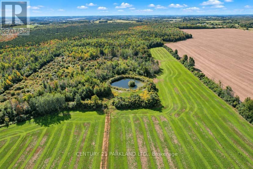 #10 - 1320 Concession Road E — photo 38 of 40