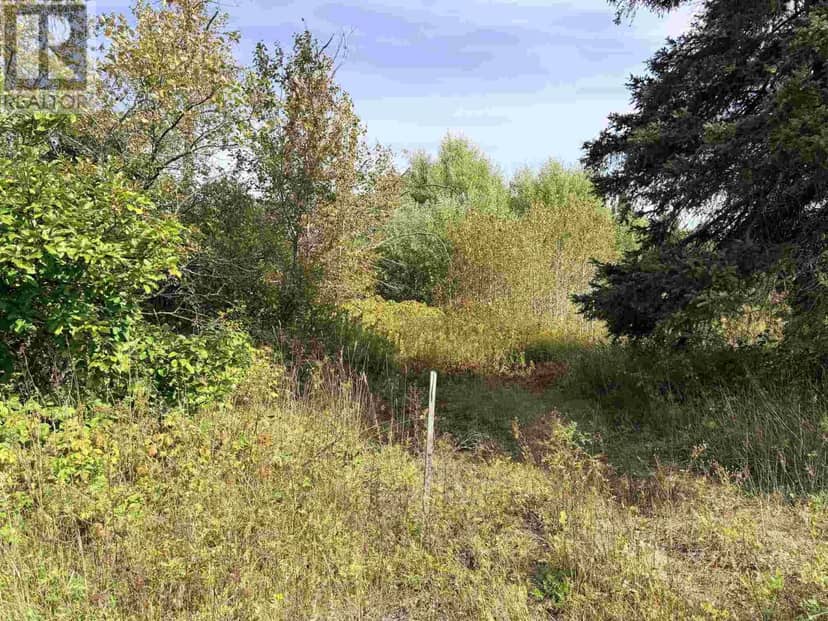 11934 Highway 17 — photo 2 of 7