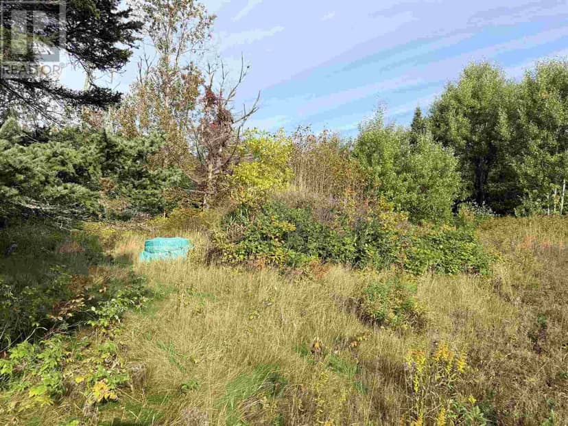 11934 Highway 17 — photo 4 of 7