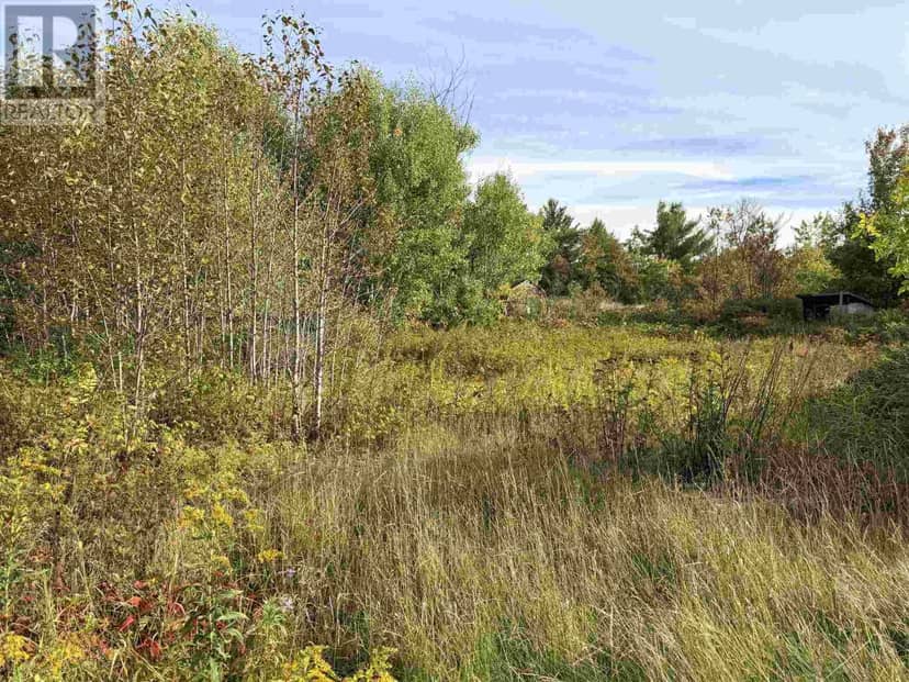 11934 Highway 17 — photo 7 of 7