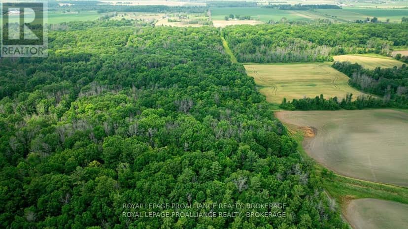 Lot C Townline Road, Loyalist, photo 4