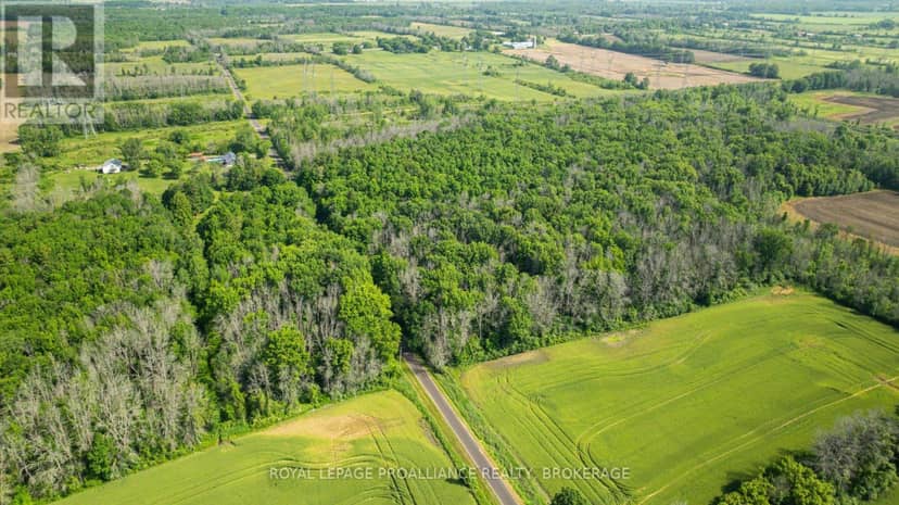 Lot B Townline Road, Loyalist, photo 8