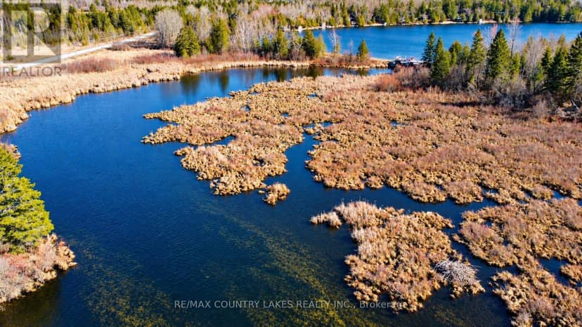Lt 5 Victoria Road, Kawartha Lakes, photo 4