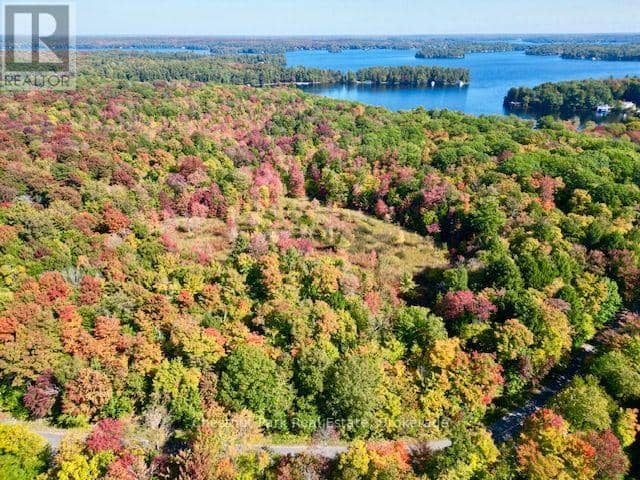 0 Acton Island Road, Muskoka Lakes