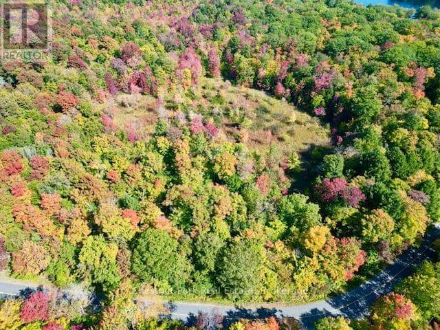 0 Acton Island Road, Muskoka Lakes, photo 6