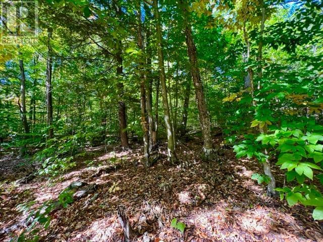 0 Acton Island Road, Muskoka Lakes, photo 8