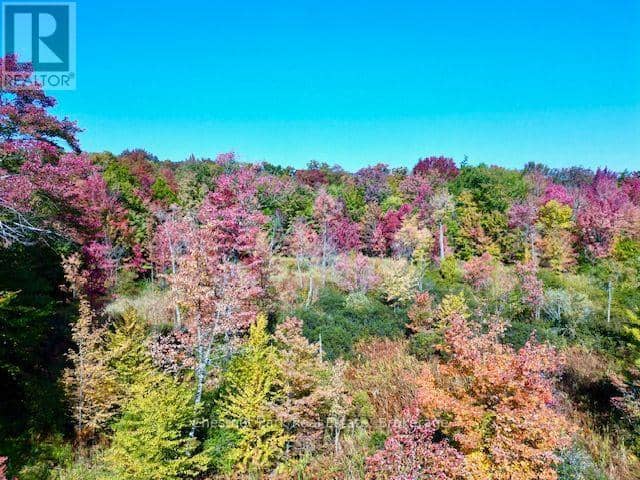 0 Acton Island Road, Muskoka Lakes, photo 3