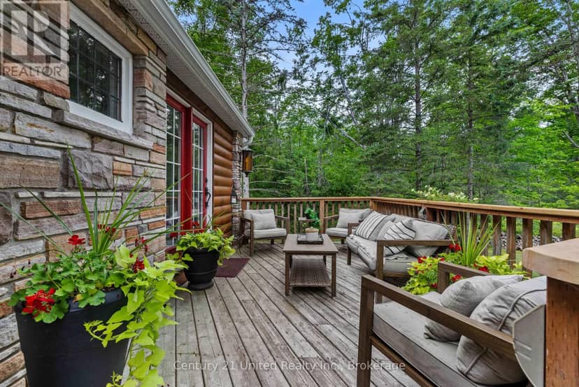 11 Birch Terrace — photo 31 of 38