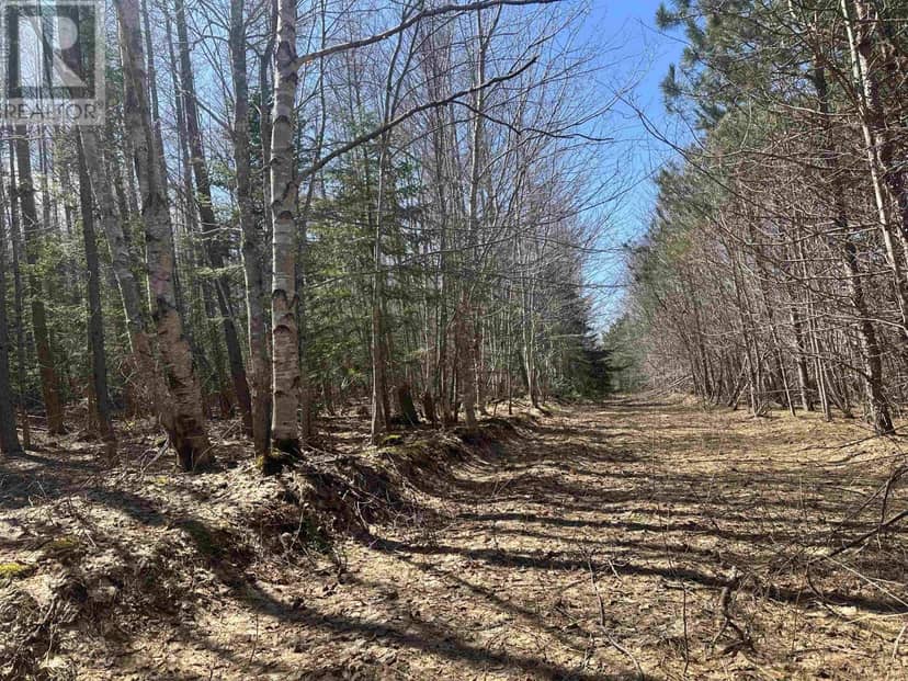 Settlement Road — photo 10 of 19
