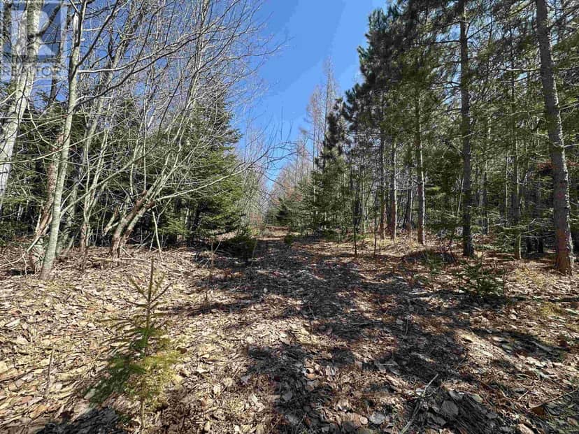 Settlement Road — photo 12 of 19