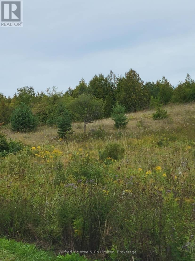 314346 Hwy 6 Highway — photo 3 of 13