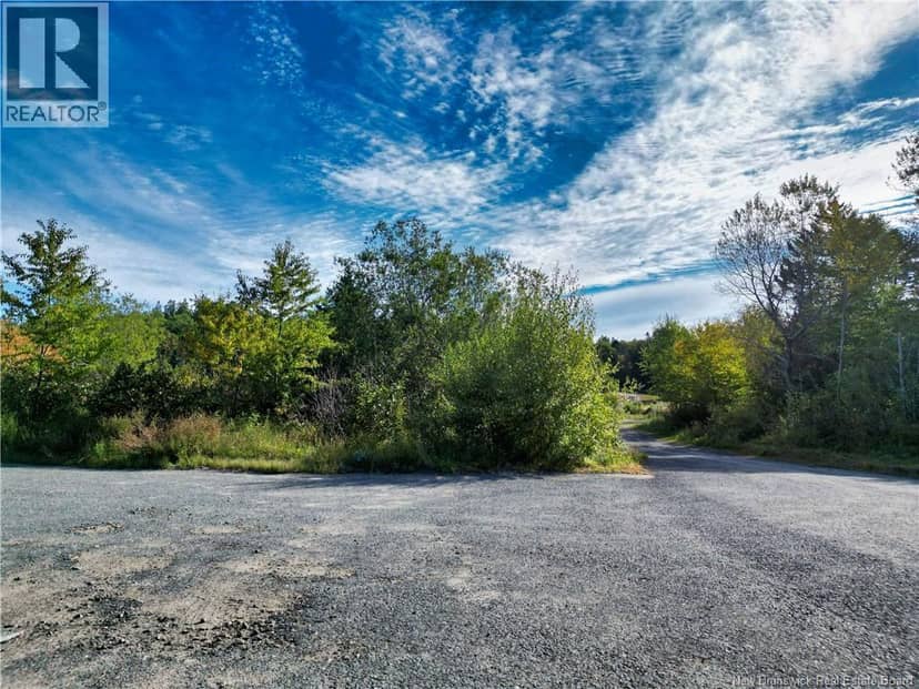 Vacant lots Swimming Pool Road, Welshpool, photo 5