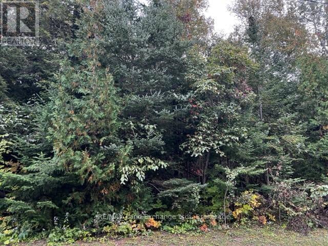 2 Shore Road — photo 3 of 12