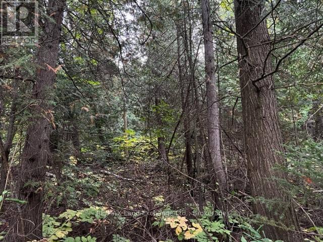 2 Shore Road — photo 5 of 12