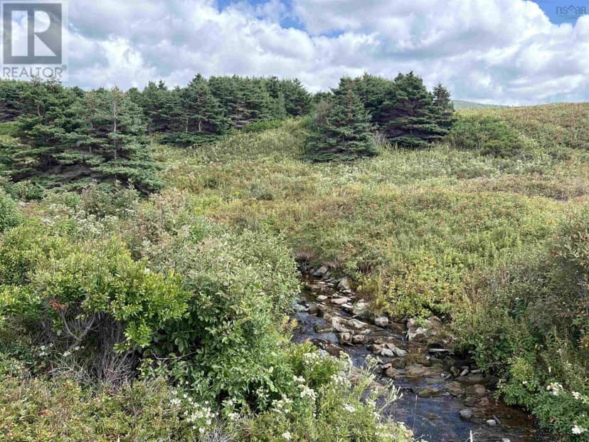 Lot 2 Cabot Trail — photo 7 of 15