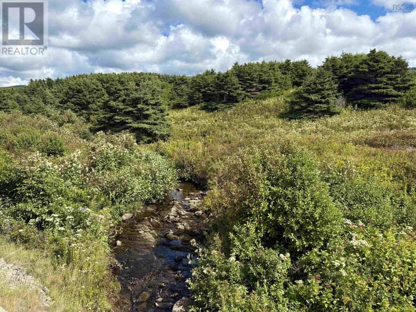 Lot 2 Cabot Trail — photo 6 of 15