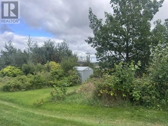 156A Main Street, Glovertown, photo 2