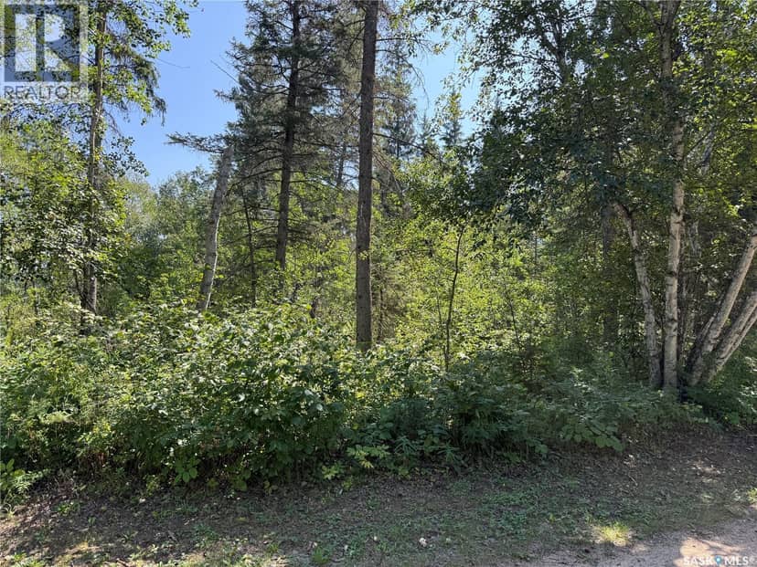 1.95 Acre Lot at Fur Lake — photo 9 of 12