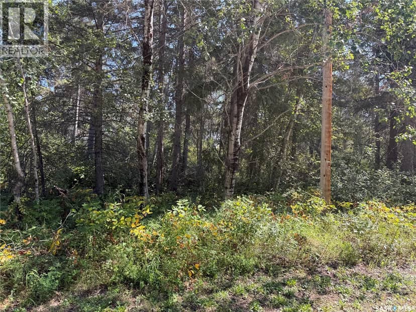 1.95 Acre Lot at Fur Lake — photo 10 of 12
