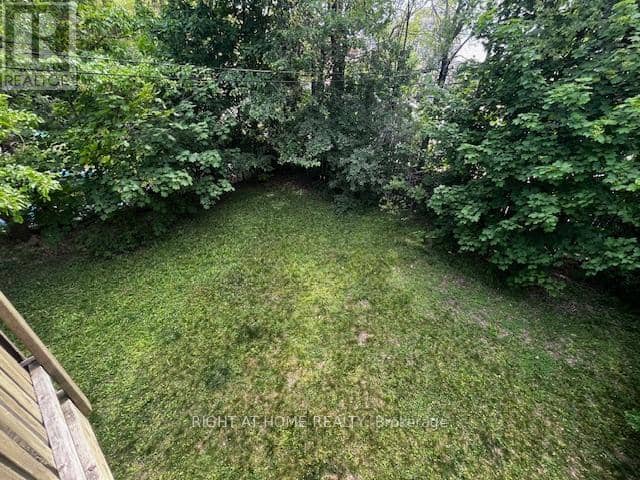 36 Forest Wood — photo 12 of 37