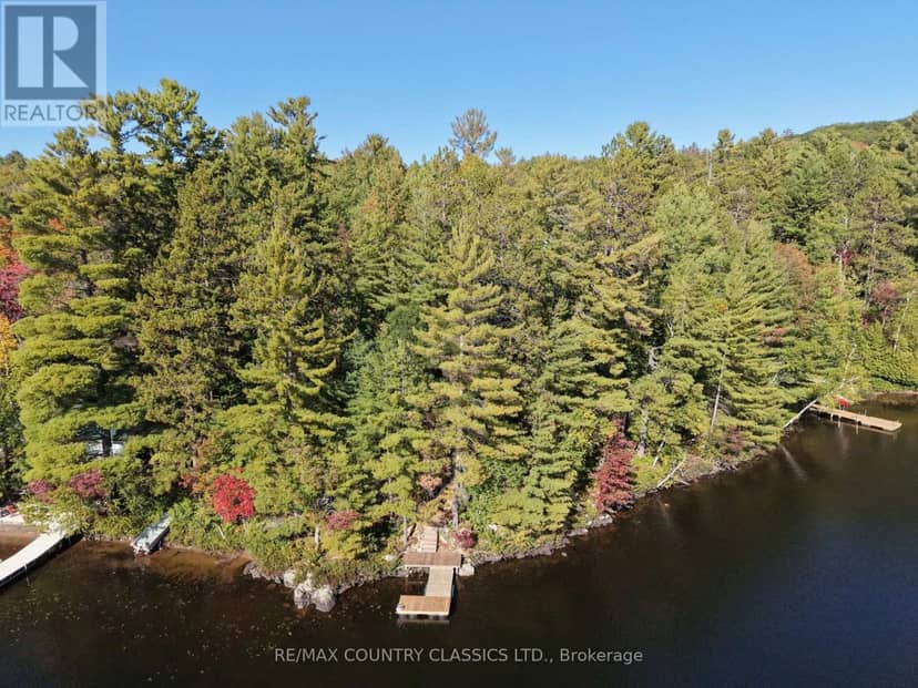 378 Spectacle Lake Road, Madawaska Valley, photo 3