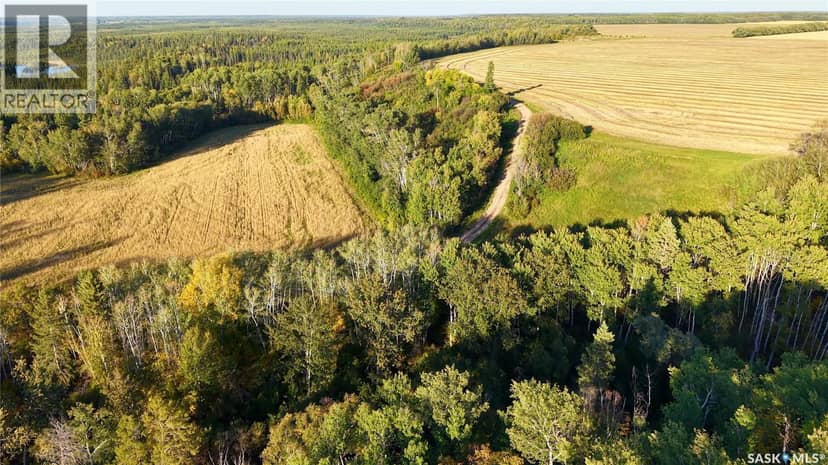 Waterfront land North-East of Nipawin — photo 6 of 24