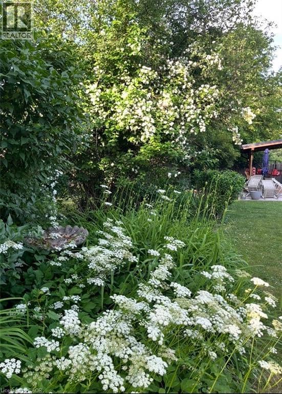 154 EWEN Road — photo 40 of 40