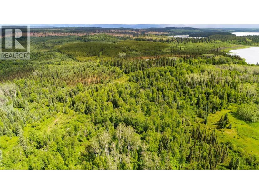 DL 2685 UPPER FRASER ROAD, Prince George, photo 8