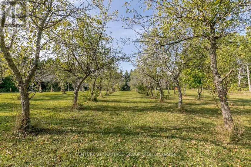 3515 Sideroad 10 — photo 34 of 40