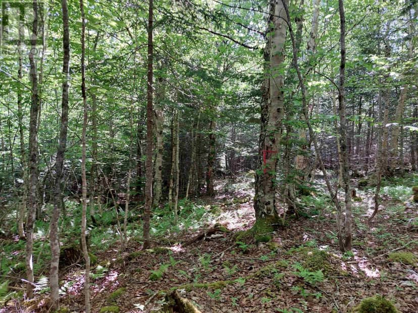 Lot 8 Evanston Rd — photo 10 of 14