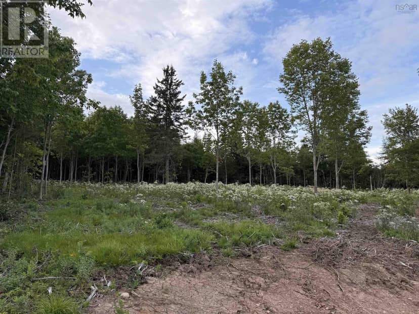 Lot 28 Mull River Road, Mabou, photo 2
