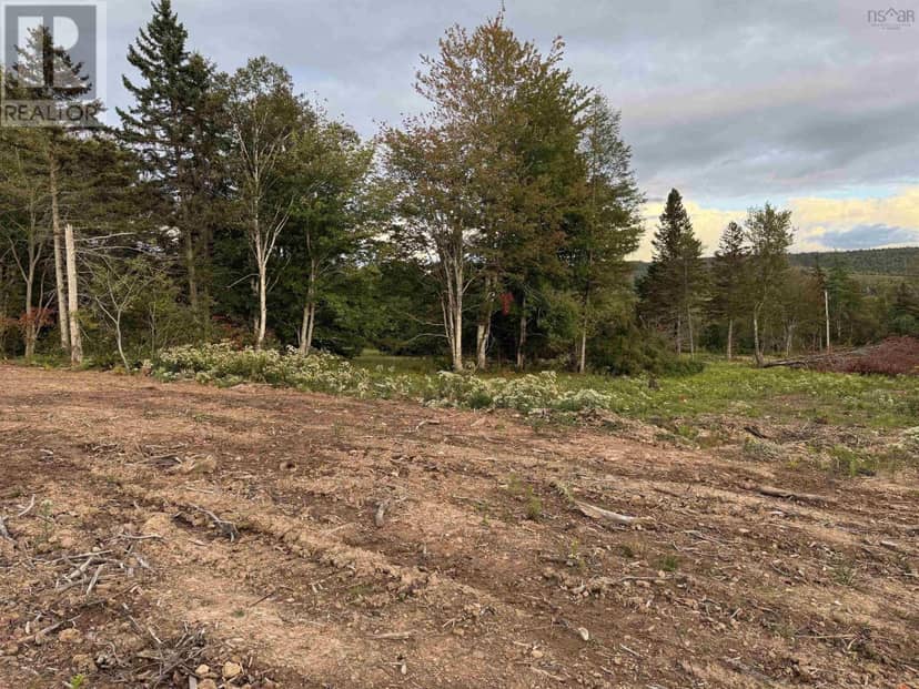 Lot 25 Mull River Road, Mabou, photo 4