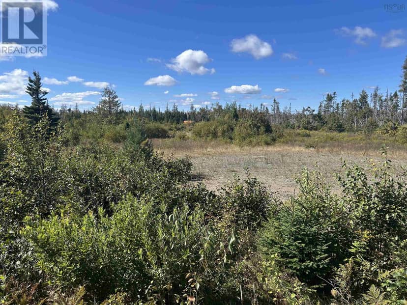 Lot 10 255 Highway — photo 7 of 12