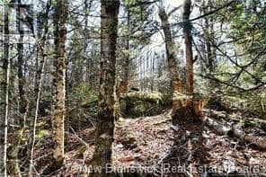 Lot 88-109 Bunker Hill Road, Wilsons Beach, photo 5